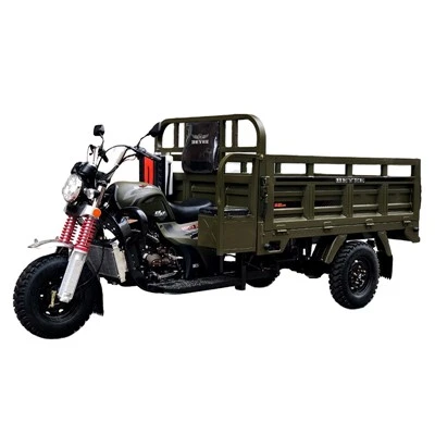 Triciclo de 3 ruedas de 175 cc