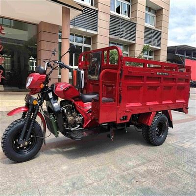 Transporte de carga de motocicleta de 3 ruedas