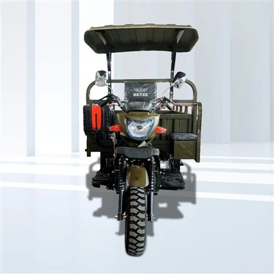 Triciclo de carga resistente
