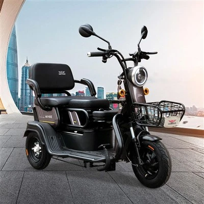 Triciclo eléctrico de 3 ruedas para pasajeros