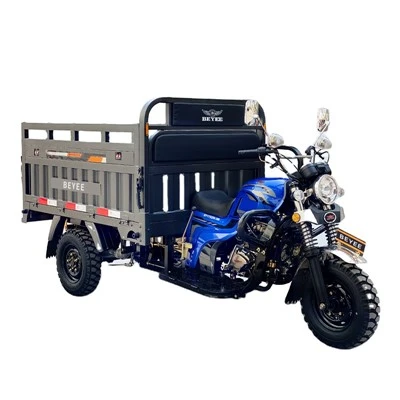 Motor de triciclo de gasolina de carga